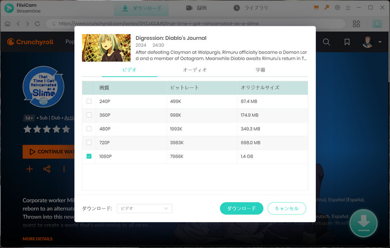 上級ダウンロード設定を選択